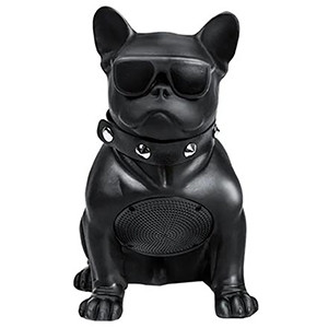 RECCI RSK-W18 BullDog Wireless Speaker with Microphone