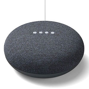 Google Nest Mini (2nd Generation) Smart Speaker With Google Assistant